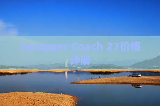 Swagger Coach 27价格详解
