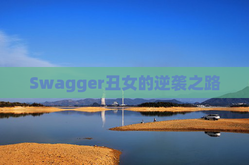Swagger丑女的逆袭之路
